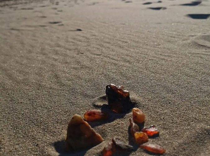 Chata Karuba Resort, Sobieszewo- - Wyspa Sobieszewska Gdaňsk