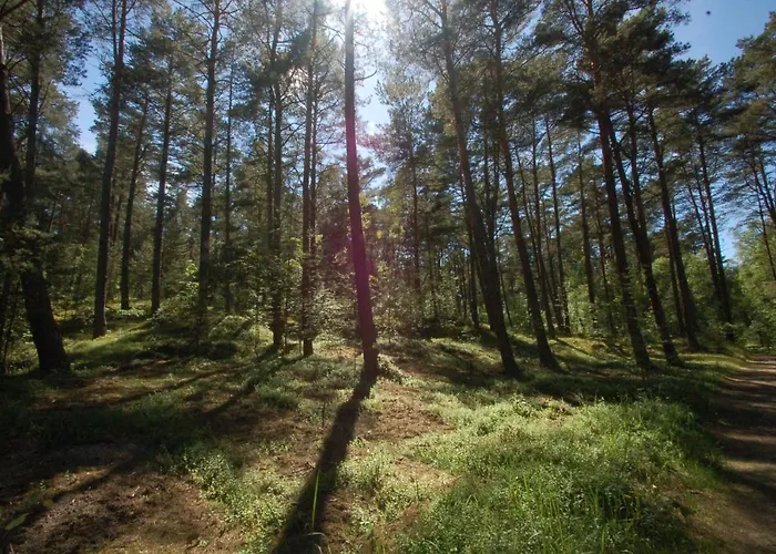 Karuba Resort, Sobieszewo- - Wyspa Sobieszewska Chata Gdaňsk