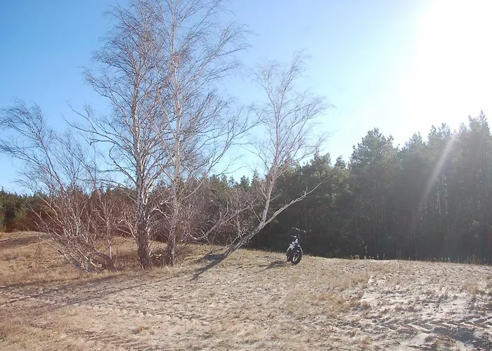 Chata Karuba Resort, Sobieszewo- - Wyspa Sobieszewska *