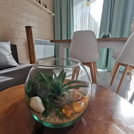 Karuba Resort, Sobieszewo- - Wyspa Sobieszewska *