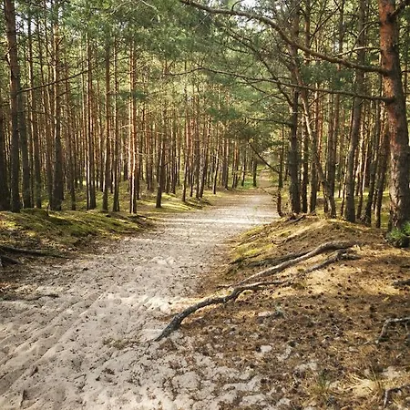 Chata Karuba Resort, Sobieszewo- - Wyspa Sobieszewska Gdaňsk