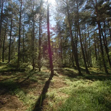 Karuba Resort, Sobieszewo- - Wyspa Sobieszewska Lodge Danzig