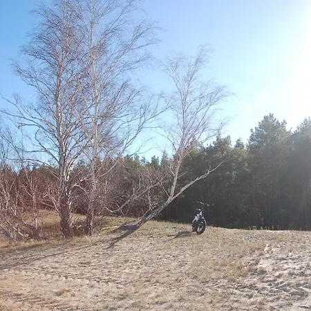 Lodge Karuba Resort, Sobieszewo- - Wyspa Sobieszewska *