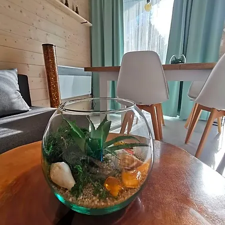 Karuba Resort, Sobieszewo- - Wyspa Sobieszewska *