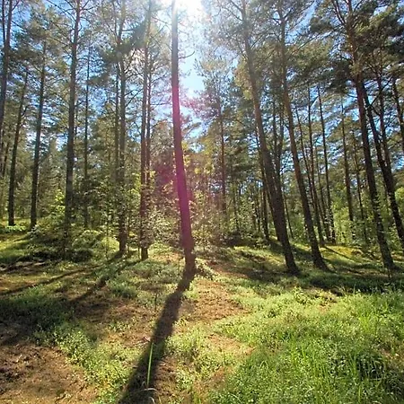 Hytte Karuba Resort, Sobieszewo- - Wyspa Sobieszewska