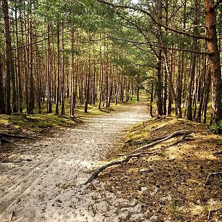 Karuba Resort, Sobieszewo- - Wyspa Sobieszewska