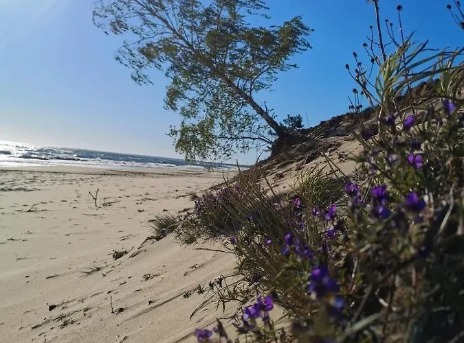 Karuba Resort, Sobieszewo- - Wyspa Sobieszewska Danzig