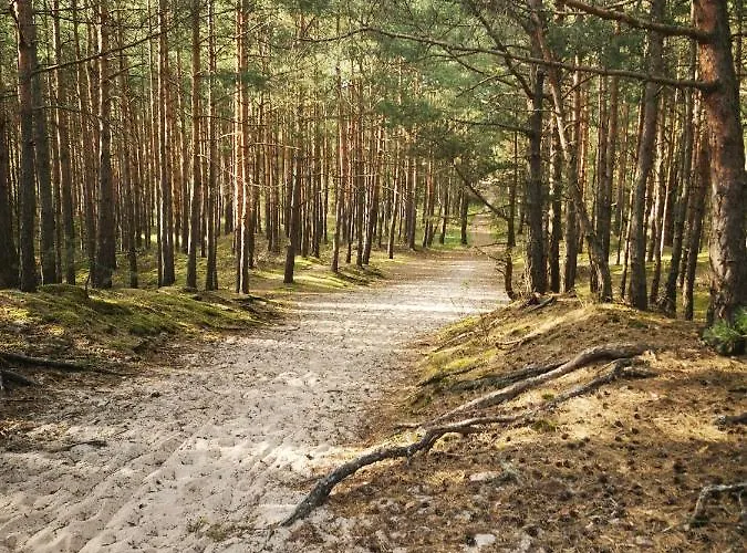 Lodge Karuba Resort, Sobieszewo- - Wyspa Sobieszewska Gdańsk