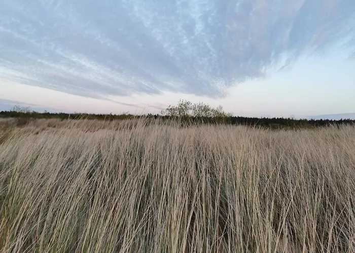 Деревянный коттедж Karuba Resort, Sobieszewo- - Wyspa Sobieszewska *