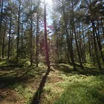 Karuba Resort, Sobieszewo- - Wyspa Sobieszewska אכסניה גדנסק